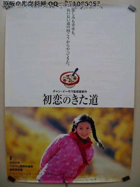 サンタカテリーナ大学理工科文凭证书